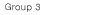Group 3